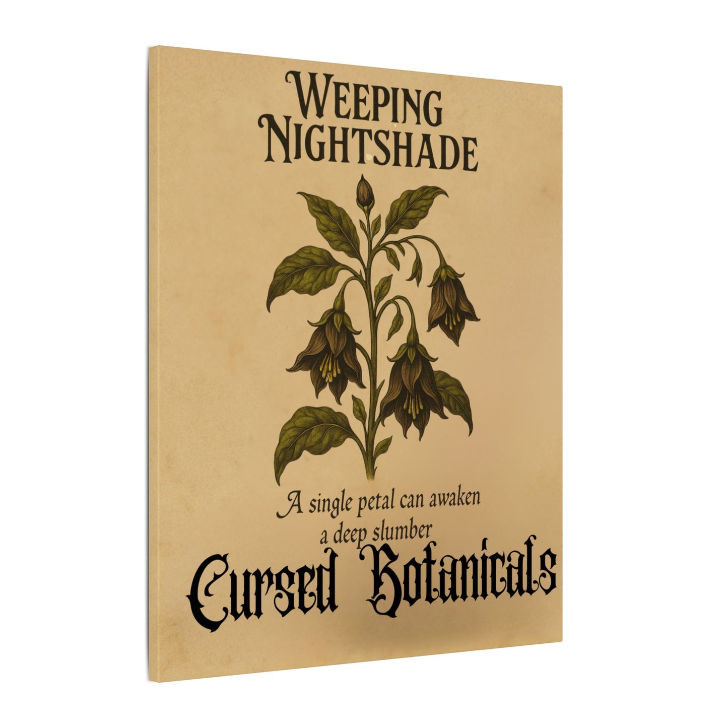 Canvas Wall Art - Cursed Botanicals Collection - Weeping Nightshade Gothic Boho Halloween Decor