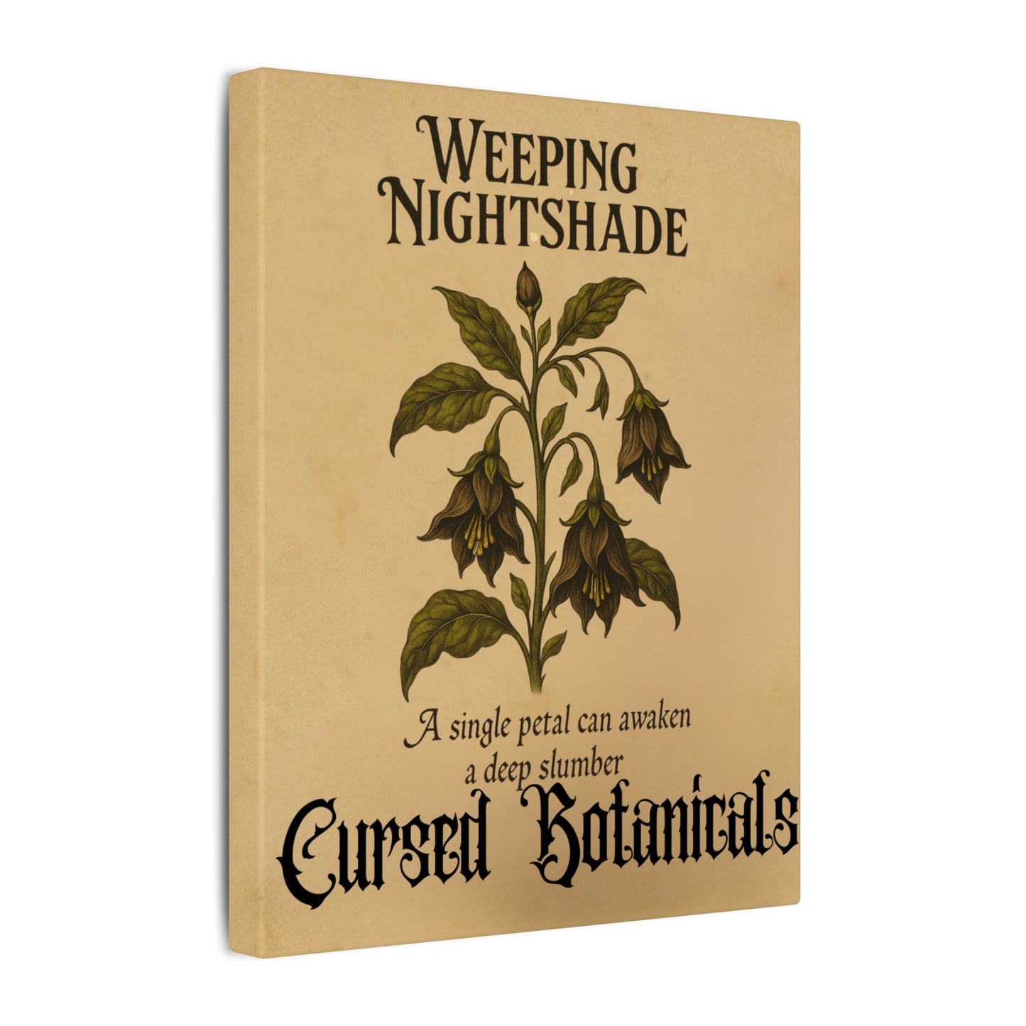 Canvas Wall Art - Cursed Botanicals Collection - Weeping Nightshade Gothic Boho Halloween Decor