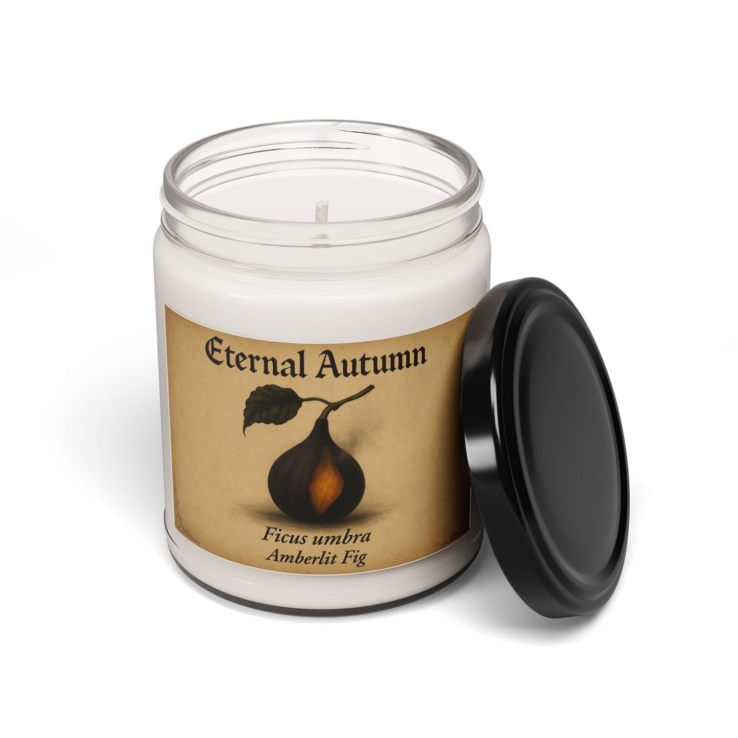 Soy Candle - Eternal Autumn Collection - Amberlit Fig