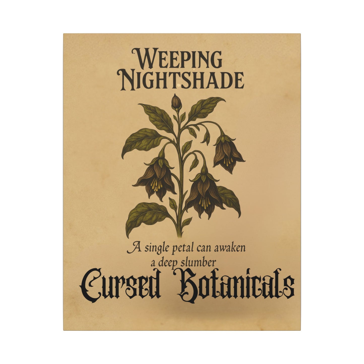 Canvas Wall Art - Cursed Botanicals Collection - Weeping Nightshade Gothic Boho Halloween Decor