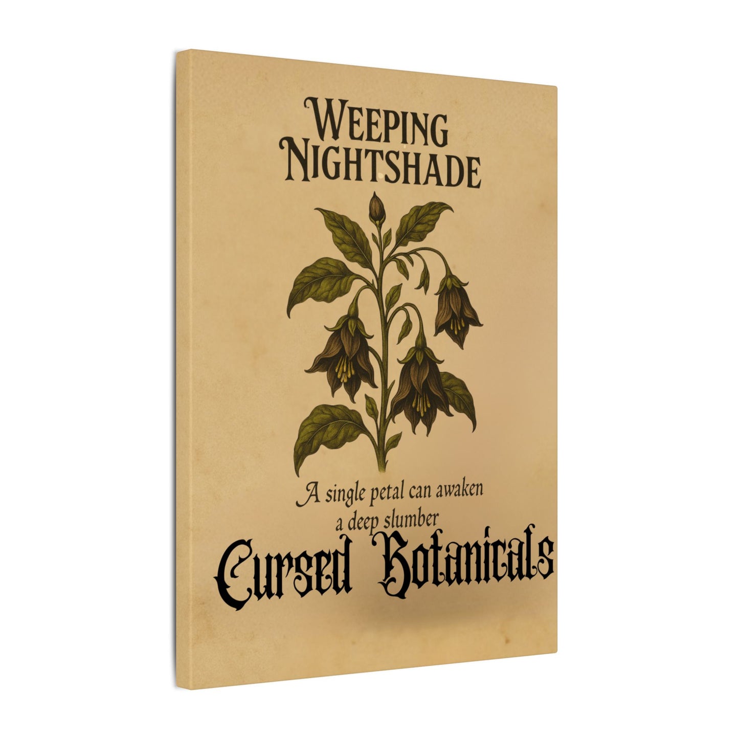Canvas Wall Art - Cursed Botanicals Collection - Weeping Nightshade Gothic Boho Halloween Decor