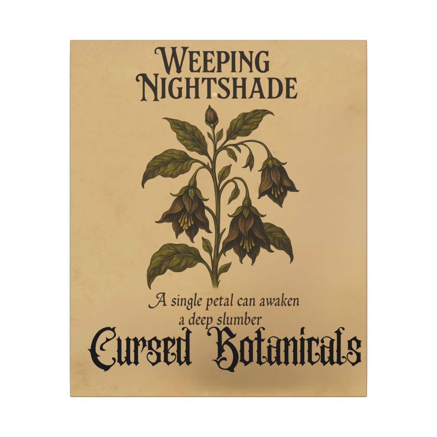 Canvas Wall Art - Cursed Botanicals Collection - Weeping Nightshade Gothic Boho Halloween Decor