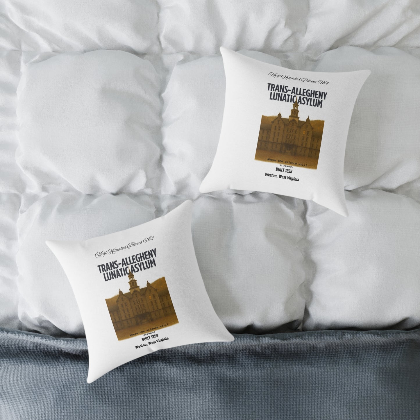 Canvas Pillow - The Most Haunted Collection Trans-Allegheny Lunatic Asylum - Rustic Home Decor Accent