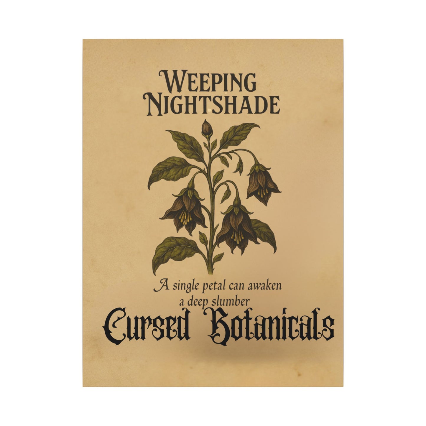 Canvas Wall Art - Cursed Botanicals Collection - Weeping Nightshade Gothic Boho Halloween Decor