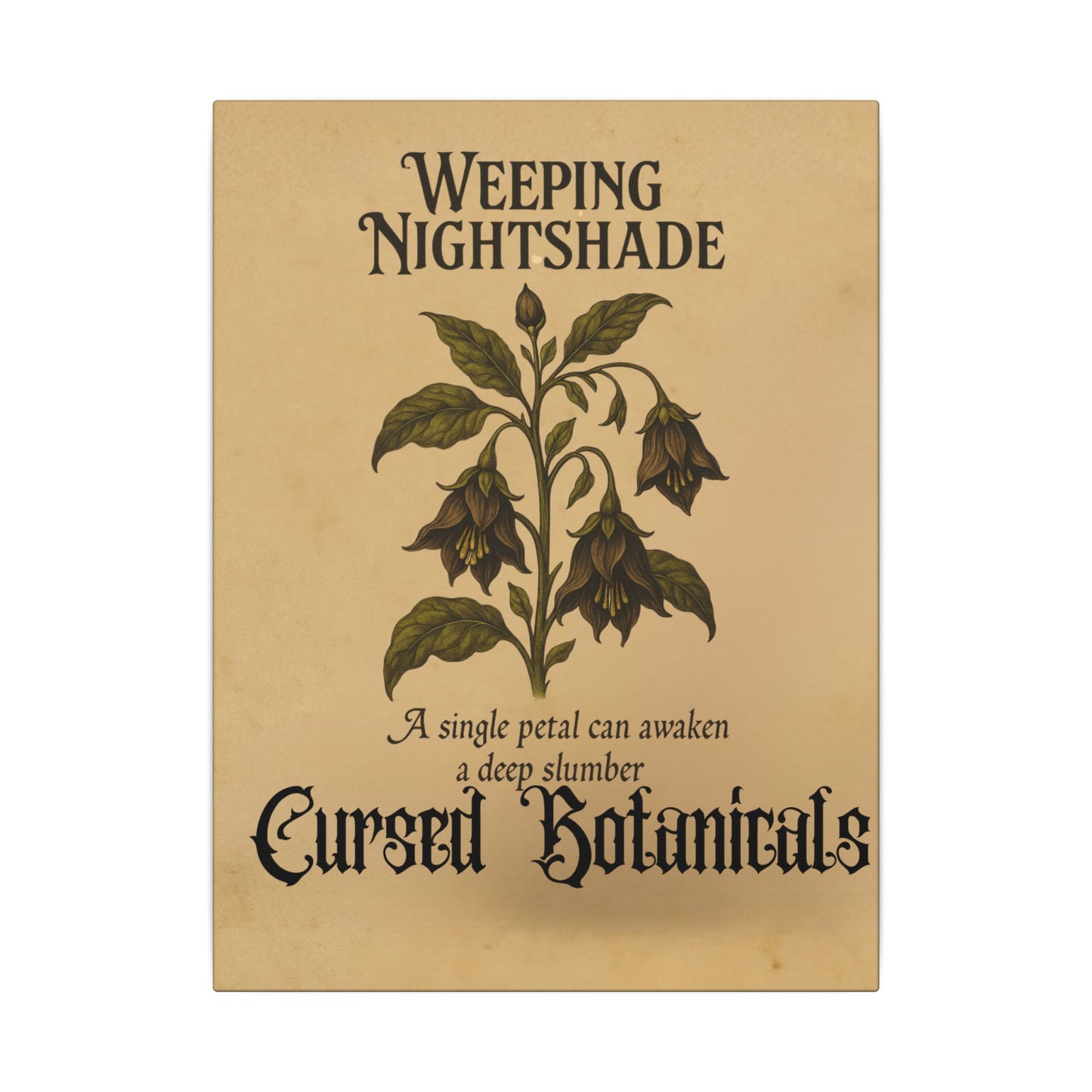 Canvas Wall Art - Cursed Botanicals Collection - Weeping Nightshade Gothic Boho Halloween Decor