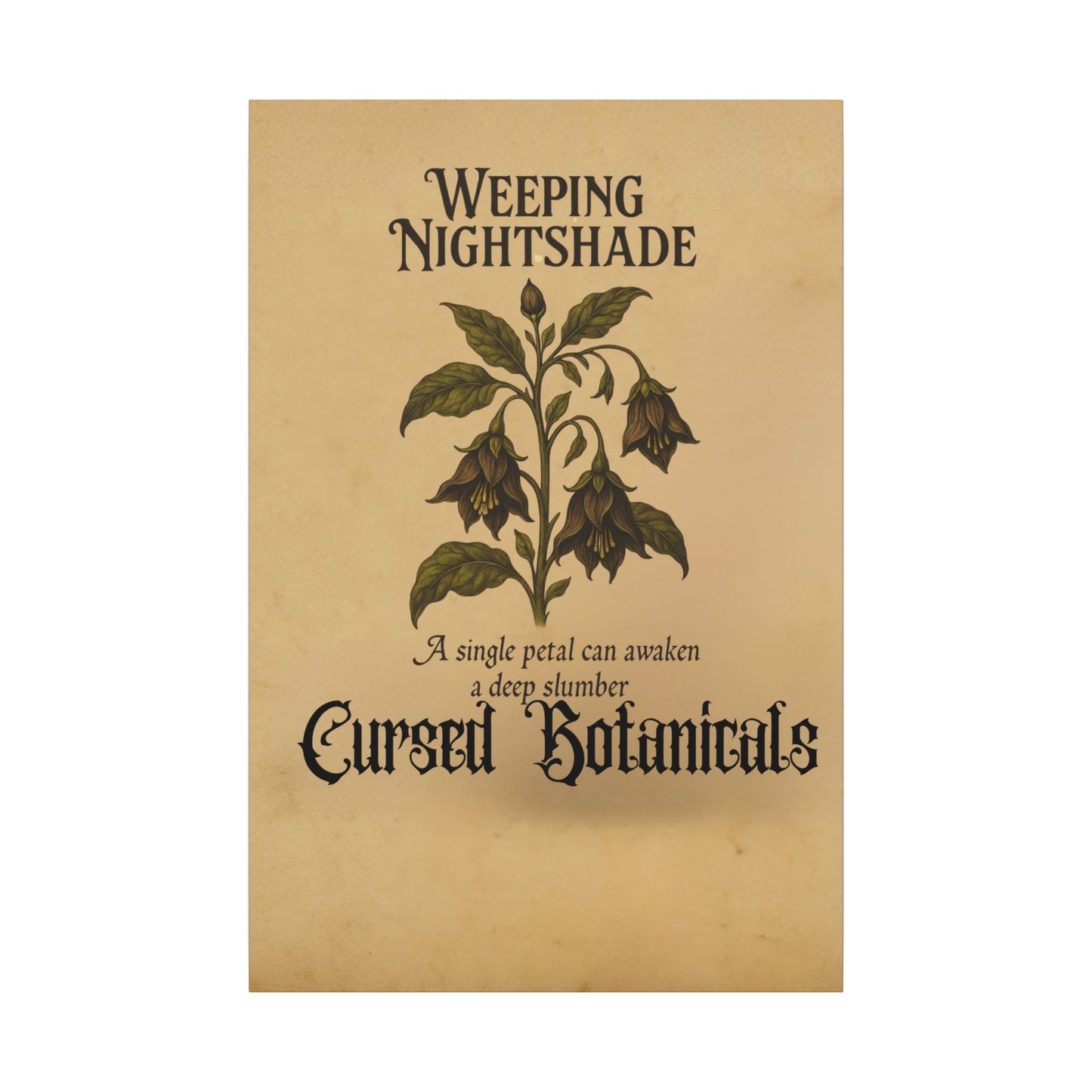 Canvas Wall Art - Cursed Botanicals Collection - Weeping Nightshade Gothic Boho Halloween Decor