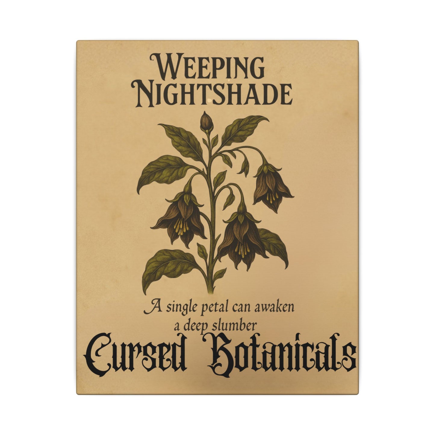 Canvas Wall Art - Cursed Botanicals Collection - Weeping Nightshade Gothic Boho Halloween Decor