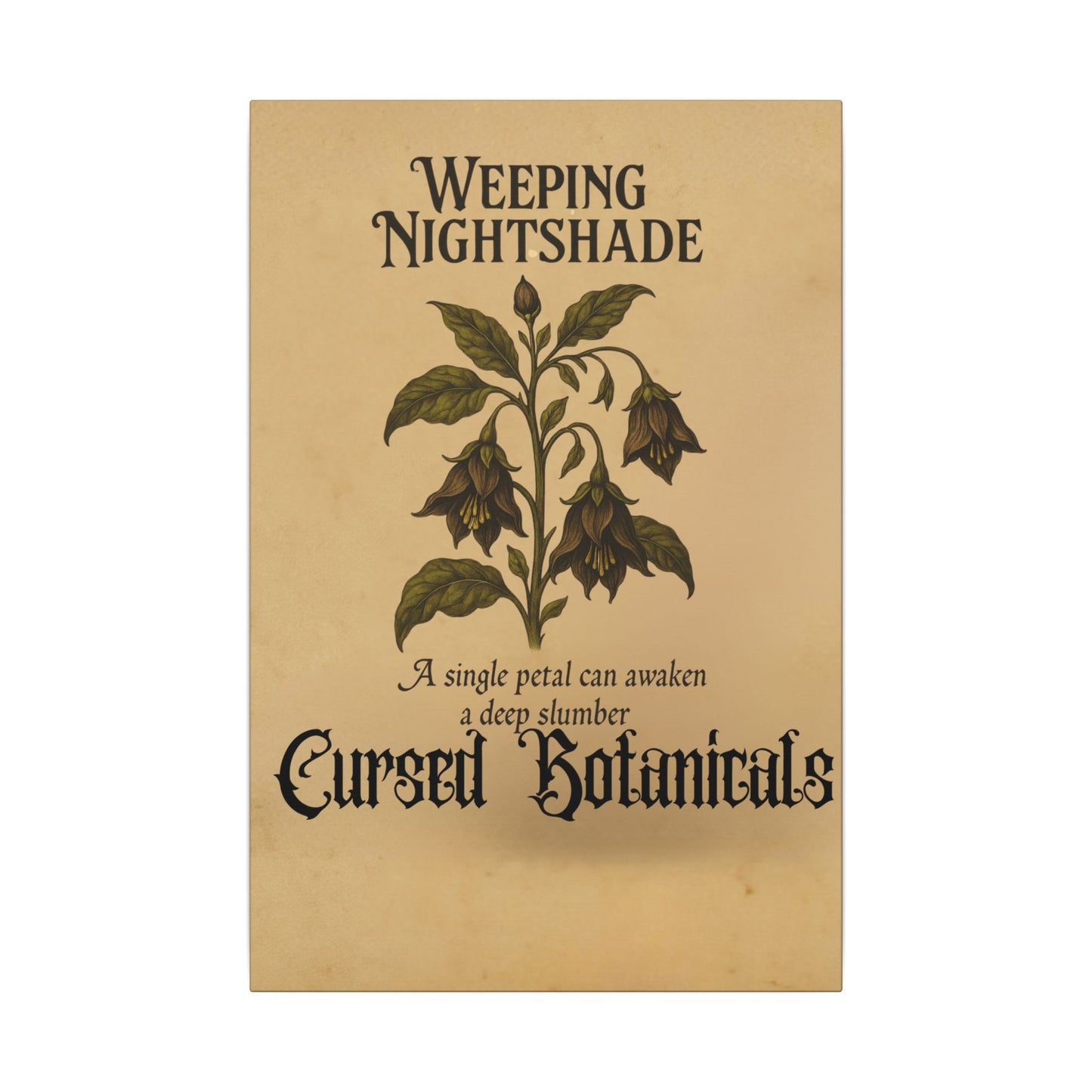 Canvas Wall Art - Cursed Botanicals Collection - Weeping Nightshade Gothic Boho Halloween Decor